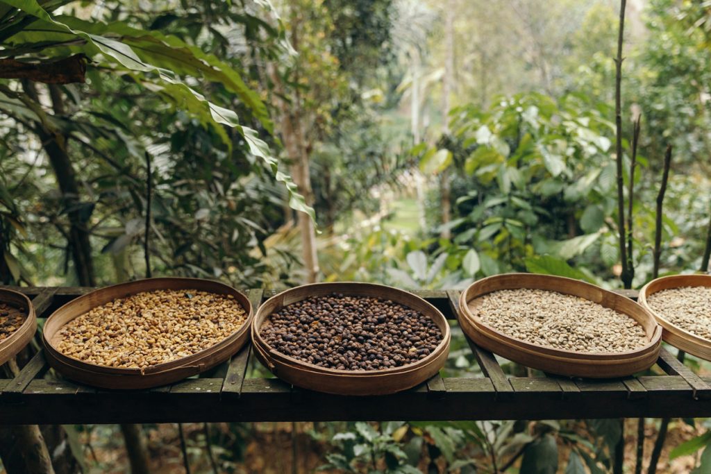 Vielfalt der Kaffeekultur